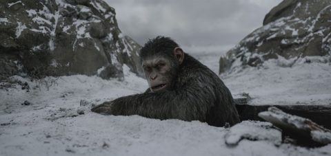 WAR FOR THE PLANET OF THE APES
